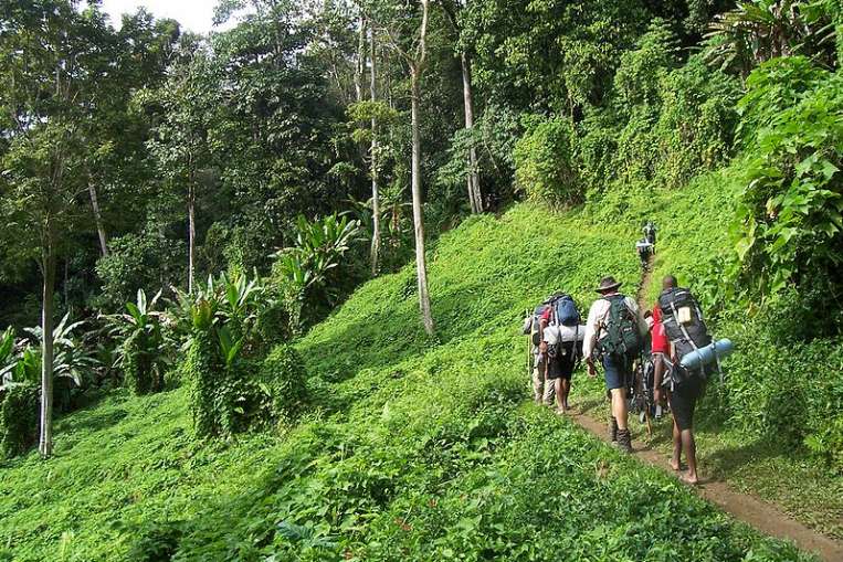 attraction-Kep Trekking Jungles.jpg